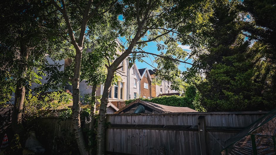 A residential backyard scene showing a clutter of discarded garden waste and debris in the foreground, including branches, leaves, and loose soil on a weathered wooden garden shed roof. Surrounding the yard is an aged wooden fence, partially obscured by foliage and trees, with green leaves and branches extending upward, creating a canopy over the area. In the background, multi-storey houses with light-colored brick facades and pitched roofs are visible, under a clear blue sky. The environment appears to be a quiet urban garden space awaiting clearance or disposal, with natural lighting casting soft shadows across the scene. The image relates to private waste handling or alternative rubbish removal services provided by Waste Disposal Kentish Town, emphasizing on-site garden waste clearance in a suburban setting.